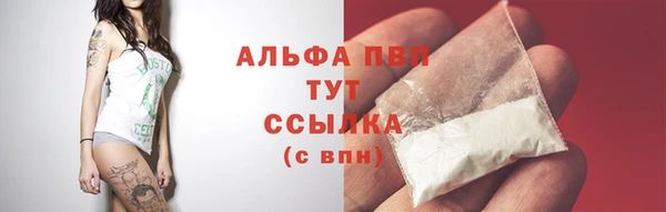 эйфоретик Михайловск