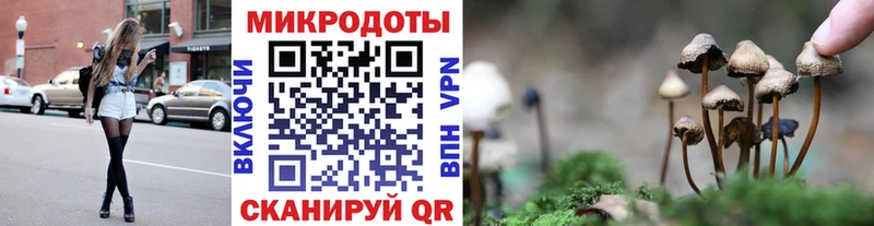 Галлюциногенные грибы MAGIC MUSHROOMS  купить наркотик  Мураши 